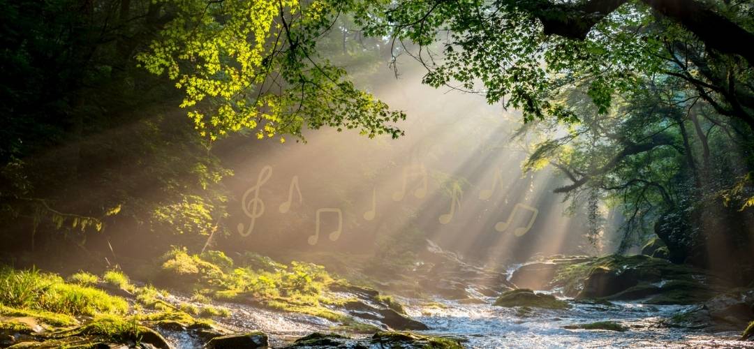 Radical Relating Through The Natural Voice, with Anthony Johnston
