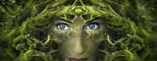 The Alchemy Of Menopause | Cathy Skipper