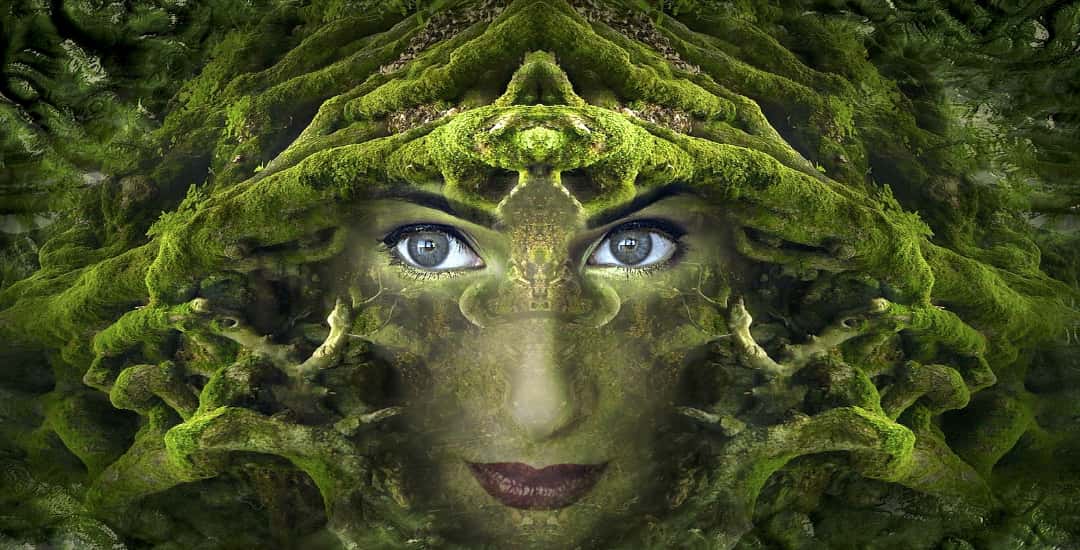 The Alchemy of Menopause Cathy Skipper